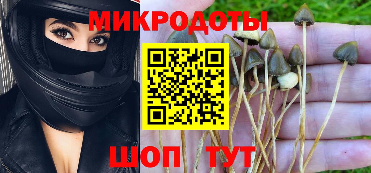 Галлюциногенные грибы ЛСД Гагарин